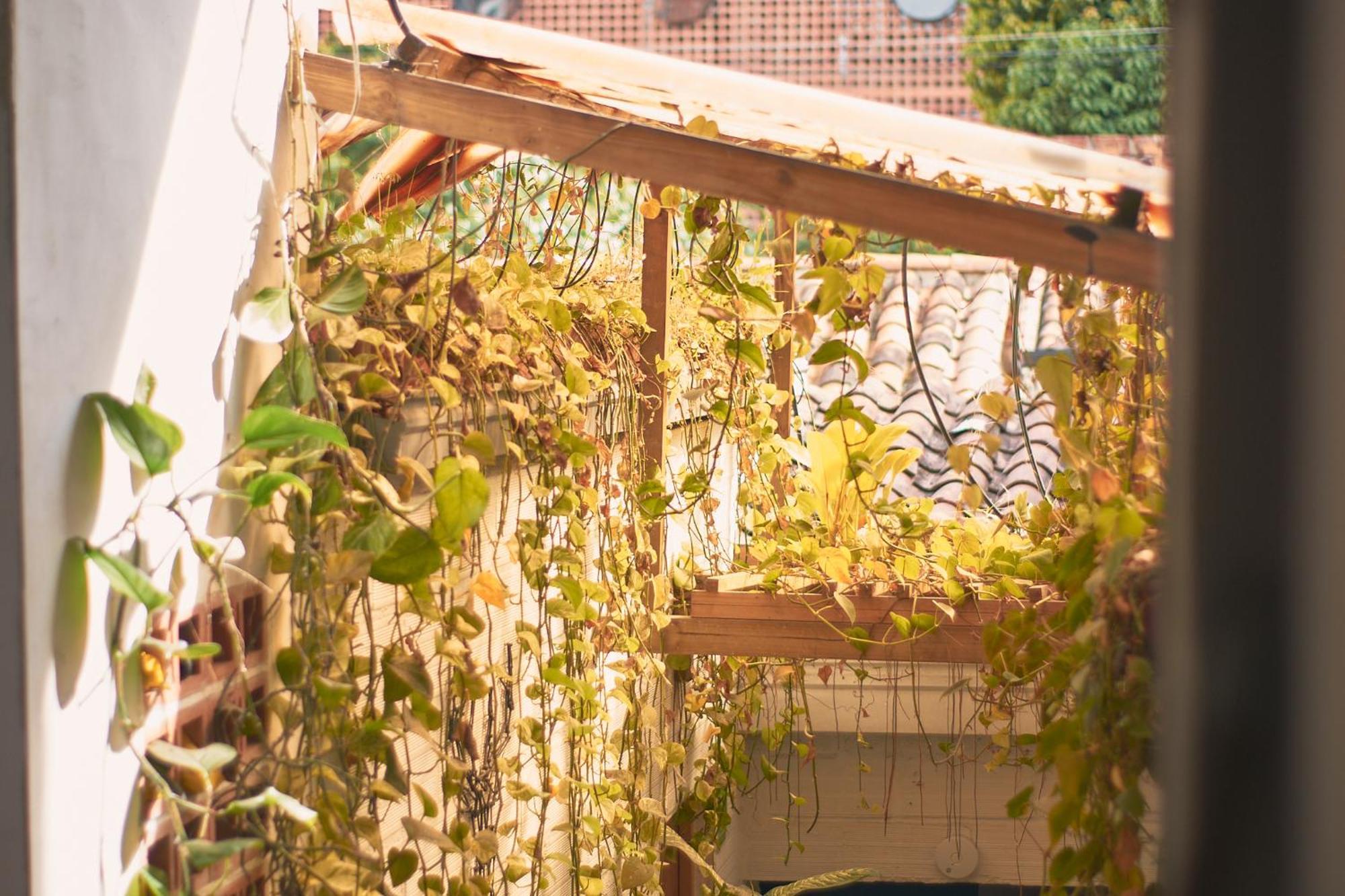 Hostal Casa Estacion Medellín Esterno foto